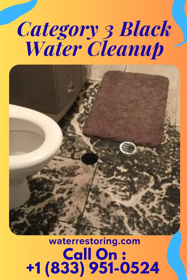Category 3 Black Water Cleanup in Columbus, ND