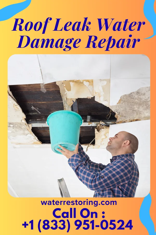 Roof Leak Water Damage Repair in Columbus, ND